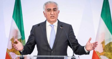 লাখ লাখ ইরানি আমার নাম ধরে ডাকছে, অন্তর্বর্তীকালীন নেতা হতে প্রস্তুত রেজা পাহলভি