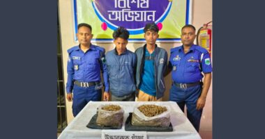 শিবগঞ্জে ৩ কেজি গাঁজাসহ ২ জন আটক