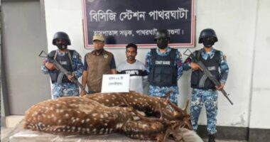 বরগুনার পাথরঘাটায় জবাইকৃত হরিণসহ শিকারি আটক