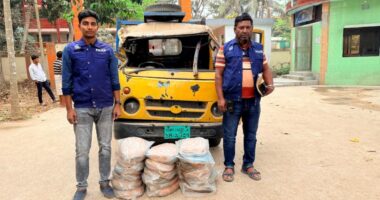 বাঞ্ছারামপুরে ২০ কেজি গাঁজাসহ পিকআপ ভ্যান জব্দ