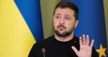 ইরানি ড্রোন হামলা মোকাবিলায় আমিরাতকে সহযোগিতার প্রস্তাব জেলেনস্কির