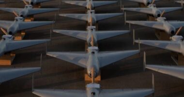 এবার মধ্যপ্রাচ্যের আকাশে আতঙ্ক ছড়াচ্ছে ইরানের শাহেদ-১৩৬ ড্রোন