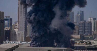 সৌদি আরবে সিআইএ স্টেশনে ইরানের ড্রোন হামলা