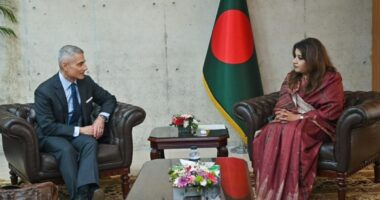 প্রতিমন্ত্রী শামা ওবায়েদের সঙ্গে পল কাপুরের বৈঠক