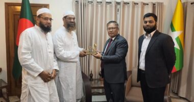 মিয়ানমারের রাষ্ট্রদূতের সঙ্গে মামুনুল হকের সৌজন্য সাক্ষাৎ