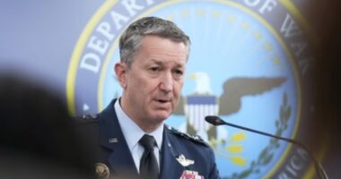 ঝাঁকে ঝাঁকে আসা ইরানের সব ড্রোন ঠেকানো হয়তো সম্ভব নয়, মার্কিন কর্মকর্তাদের স্বীকারোক্তি