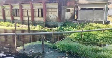 পচা পানিতে দুর্গন্ধ, মশার উপদ্রবে নাজেহাল আমতলী পৌরবাসী