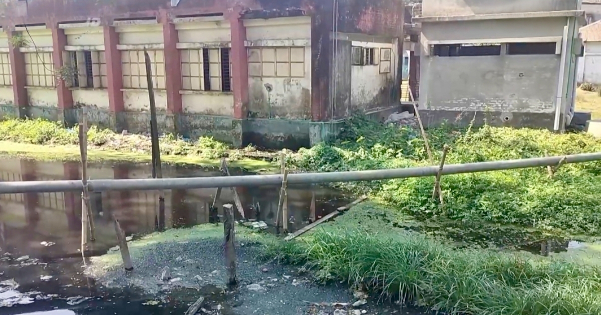 পচা পানিতে দুর্গন্ধ, মশার উপদ্রবে নাজেহাল আমতলী পৌরবাসী