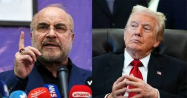 সর্বোচ্চ নেতাকে হত্যার জন্য ট্রাম্পকে ভয়াবহ পরিণতি ভোগ করতে হবে : হুঁশিয়ারি ইরানের পার্লামেন্ট স্পিকারের