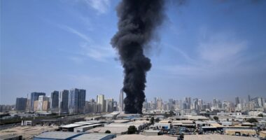 ‘সরি! প্রতিবেশী আরব দেশগুলোকে লক্ষ্য করে হামলা চালাতে হচ্ছে,’ জানালো ইরান