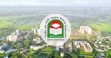 ইবি শিক্ষিকা হত্যায় নজরুল বিশ্ববিদ্যালয় শিক্ষক সমিতির শোক প্রকাশ