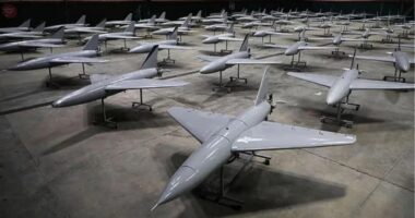 ইরানের ২০ হাজার ডলারের ড্রোন ঠেকাতে যুক্তরাষ্ট্রের খরচ ৪০ লাখ ডলার