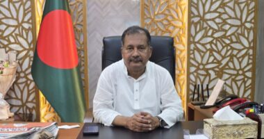 স্পিকারকে অবিভাবক মেনেই এগিয়ে যাবেন এমপিরা : তথ্যমন্ত্রী