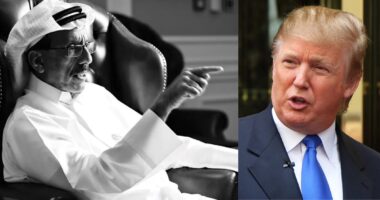 আমাদের অঞ্চলকে ইরানের সঙ্গে যুদ্ধ টেনে আনার ক্ষমতা আপনাকে কে দিয়েছে ? আমিরাতের ধনকুবের