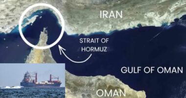 হরমুজ প্রণালিতে মার্কিন সব জাহাজের জায়গা হবে সাগরের তলদেশে : হুমকি ইরানের