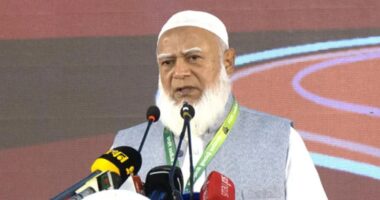 সরকারকে বিকল্প জ্বালানি উৎস খুঁজতে হবে : জামায়াত আমির