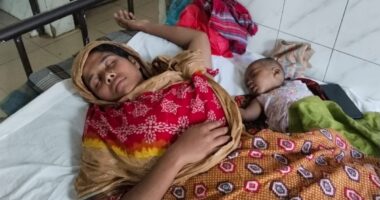 কলাপাড়ায় জমি বিরোধে প্রবাসীর স্ত্রীকে মারধরের অভিযোগ, অভিযুক্ত যুবদল নেতা