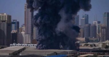 এবার সংযুক্ত আরব আমিরাতে ক্ষেপণাস্ত্র ও ড্রোন হামলা করলো ইরান