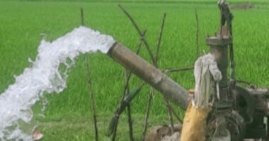 মুন্সিগঞ্জে বোরো সেচে ডিজেল সংকটের শঙ্কা, দুশ্চিন্তায় কৃষক