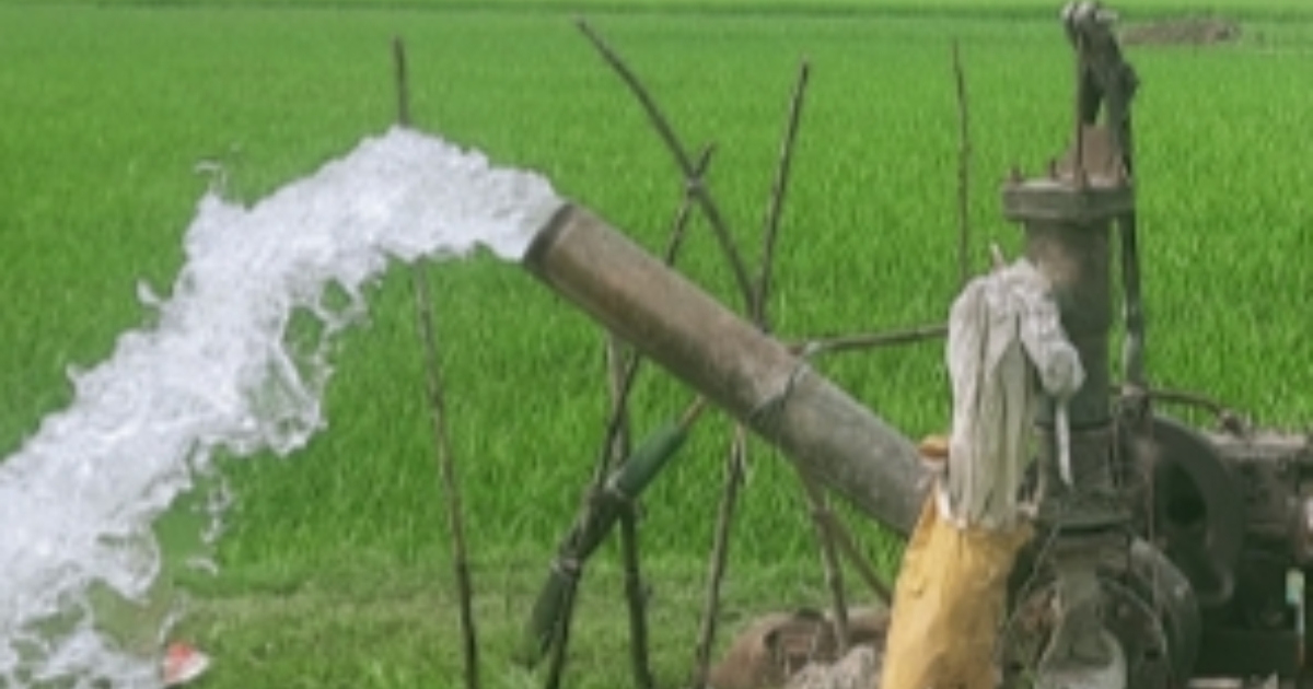 মুন্সিগঞ্জে বোরো সেচে ডিজেল সংকটের শঙ্কা, দুশ্চিন্তায় কৃষক