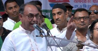 দেশে অরাজকতা নয়, সরকারকে কাজ করতে দিন: মির্জা আব্বাস