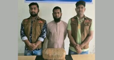 মুন্সিগঞ্জে ৪ কেজি গাঁজাসহ মাদক কারবারি গ্রেপ্তার