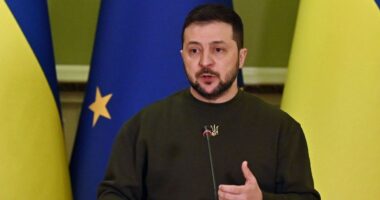 ইরানি ড্রোন মোকাবিলায় ইউক্রেনের সহায়তা চেয়েছে ১১ দেশ : জেলেনস্কি