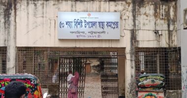 সিগারেট খেতে নিষেধ করায় গলাচিপায় ৩ শিক্ষার্থীকে মারধর, থানায় মামলা