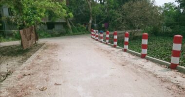 মুন্সিগঞ্জে আদিলুর রহমান খানের বাড়ির সামনে সড়ক নির্মাণ নিয়ে বিতর্ক