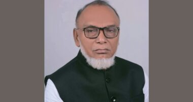 মুন্সিগঞ্জ-১ আসনের সাবেক সংসদ সদস্য মহিউদ্দিন আহমেদের মৃত্যু