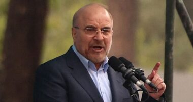 হামলাকারীদের এমন শিক্ষা দিতে হবে যাতে ভবিষ্যতে ইরানের ওপর আঘাত করার সাহস না পায় : স্পিকার