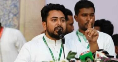 রাষ্ট্রপতিকে অপসারণ করে গ্রেপ্তার করতে হবে : নাহিদ ইসলাম