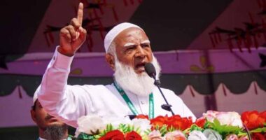 আমরা জুলাই সনদের আংশিক নয়, পুরো প্যাকেজ চাই : জামায়াত আমির