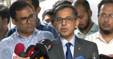 জ্বালানি সহায়তা চেয়ে ভারতকে বাংলাদেশের চিঠি : প্রণয় ভার্মা