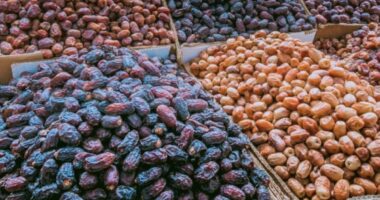 মুন্সিগঞ্জে এখনো পৌঁছায়নি সৌদি আরবের উপহারের খেজুর