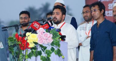 সংসদ অধিবেশনেই রাষ্ট্রপতিকে সরানোর প্রক্রিয়া শুরু করবে বিএনপি — প্রত্যাশা নাহিদ ইসলামের