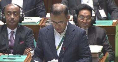 আজ থেকে দেশে কাঙ্ক্ষিত গণতন্ত্রের যাত্রা শুরু : প্রধানমন্ত্রী