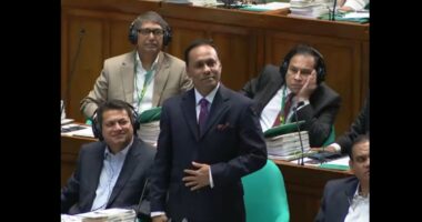 ত্রয়োদশ জাতীয় সংসদের ডেপুটি স্পিকার হলেন কায়সার কামাল