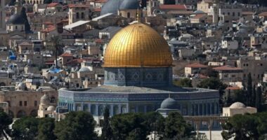 ইসরায়েলের বিরুদ্ধে একজোট ৮ মুসলিম দেশ