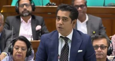 এই সংসদের সৌন্দর্য হলো, স্বৈরাচারের পক্ষের কোনো মানুষ এখানে নেই : পার্থ