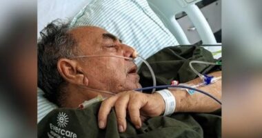 উন্নত চিকিৎসার জন্য আজ সন্ধ্যায় এয়ার এ্যাম্বুলেন্সে সিঙ্গাপুর নেয়া হচ্ছে মির্জা আব্বাসকে