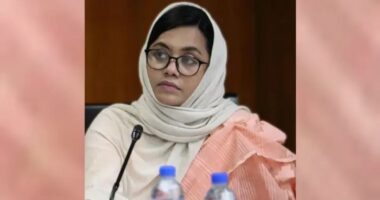 আফসোস এখনো জুলাই সনদ-গণভোট নিয়ে যুদ্ধ করতে হচ্ছে , জীবন ও দিতে হতে পারে বলা যায় না : ডা. মিতু