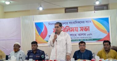 স্বাধীন গণমাধ্যম তৈরি করতে চায় বিএনপি: প্রতিমন্ত্রী মীর শাহে আলম