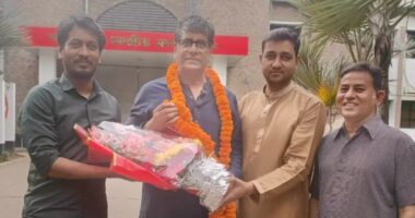 জামিনে মুক্তি পেলেন সাংবাদিক আনিস আলমগীর