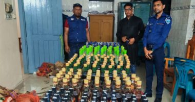 বাঞ্ছারামপুর মডেল থানা পুলিশের অভিযানে ৩৮৯ বোতল ভারতীয় মদ উদ্ধার