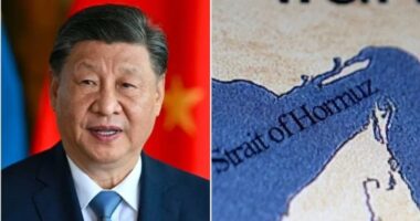 ট্রাম্পের হুমকির কাছে চীনের প্রেসিডেন্টের নতি স্বীকার করার কোনো ইতিহাস নেই