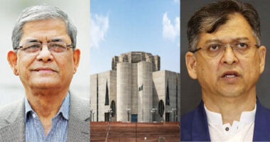 প্রধানমন্ত্রীর অনুপস্থিতিতে সংসদে দায়িত্বে থাকবেন মির্জা ফখরুল ও সালাহউদ্দিন আহমদ