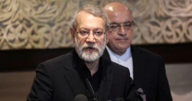 মৃত্যুর আগে বিশ্বের মুসলমানদের বিশ্বকে ঐক্যবদ্ধ হওয়ার আহ্বান জানিয়ে গেছেন লারিজানি