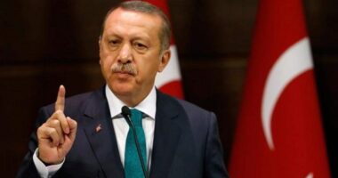 ইসরায়েল পুরো মধ্যপ্রাচ্যে ধ্বংস ডেকে আনছে : এরদোয়ান