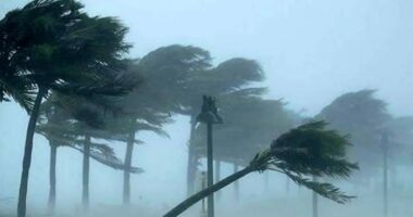 ঢাকাসহ ১২ জেলায় ৮০ কিমি বেগে ঝড়ের শঙ্কা